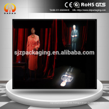 Película de reflexión holográfica 3D / película de imagen holográfica transparente, película de escena holográfica